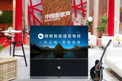 金主可换,基友不能变 微鲸《新歌声》再组CP